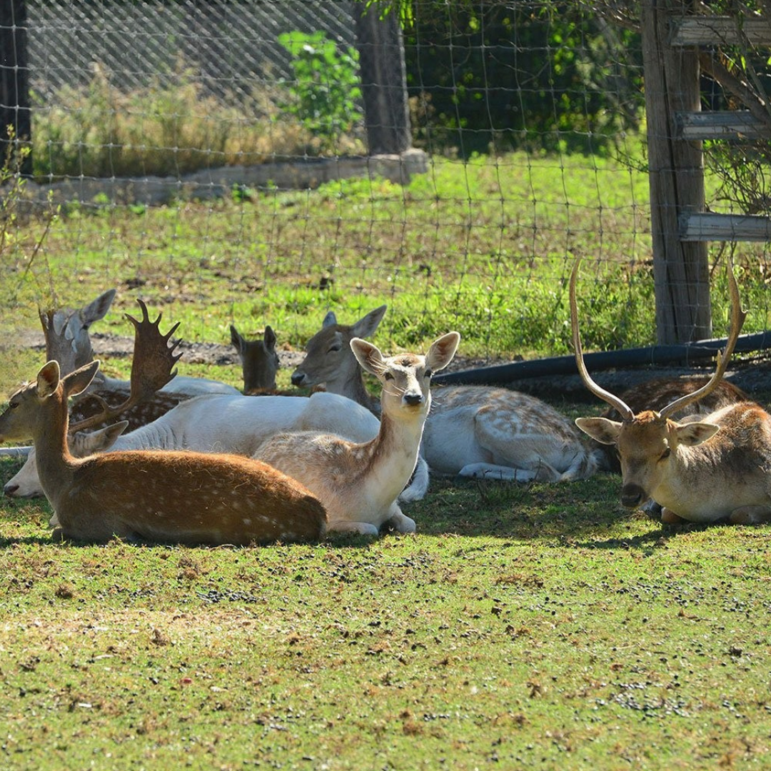 Parque Cañada de Negros