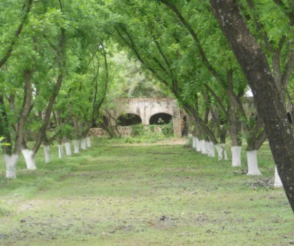 Antiguo Acueducto de Jalpa de Cánovas